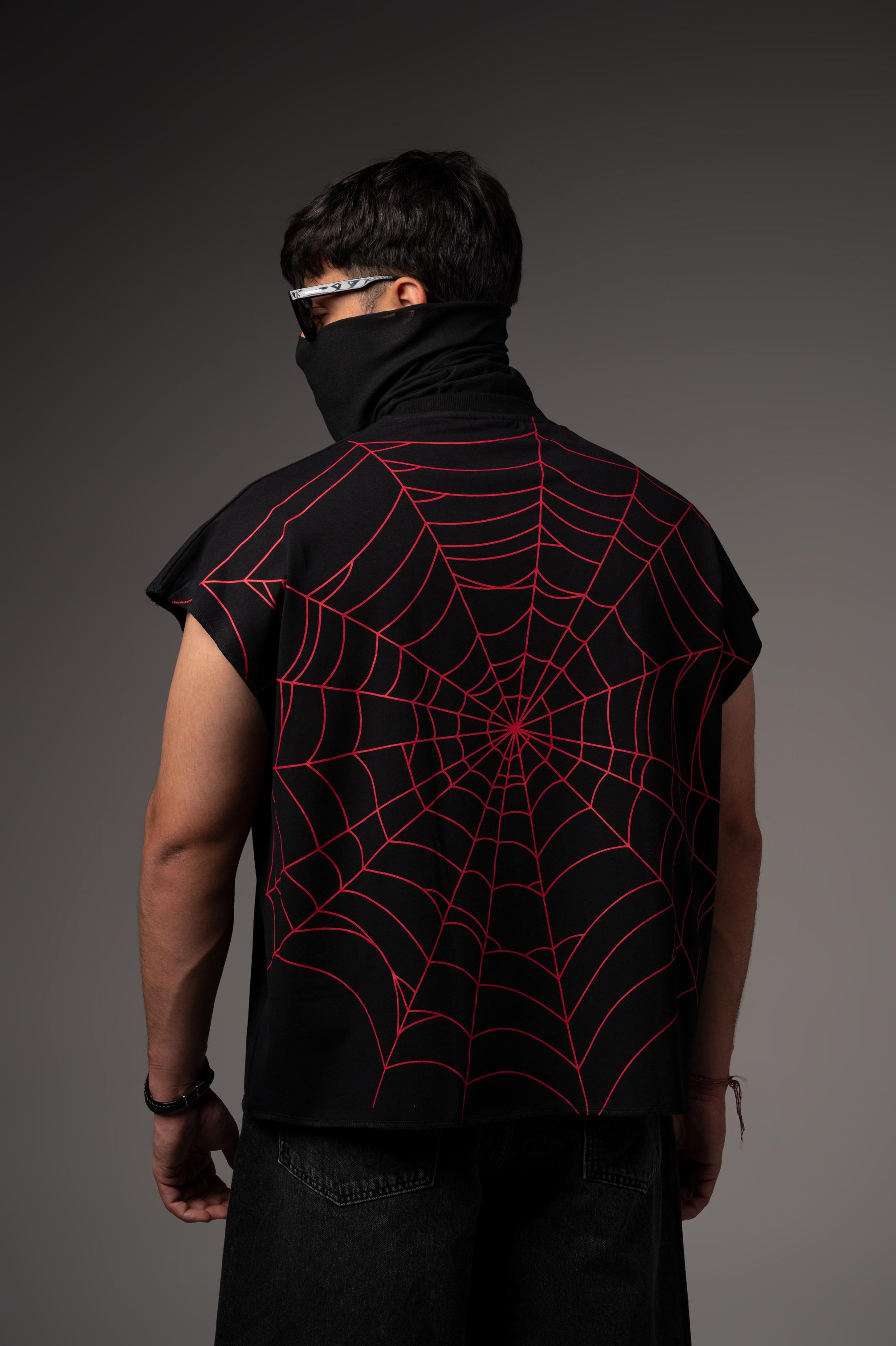 SPIDER'S WEB