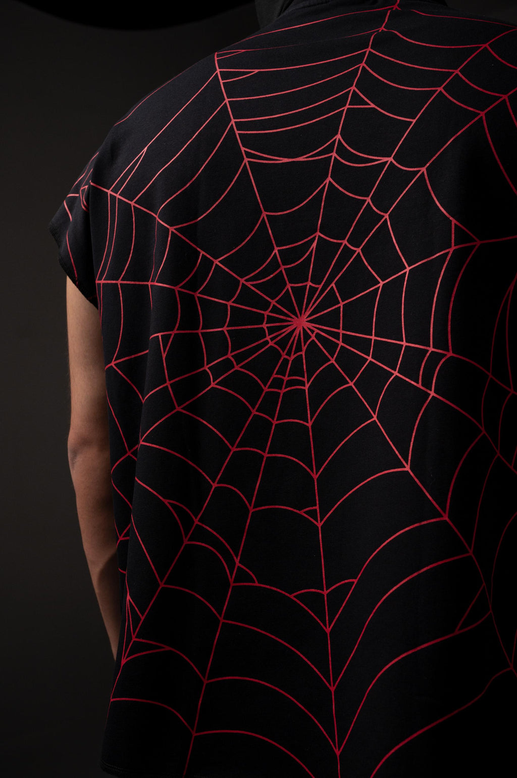 SPIDER'S WEB