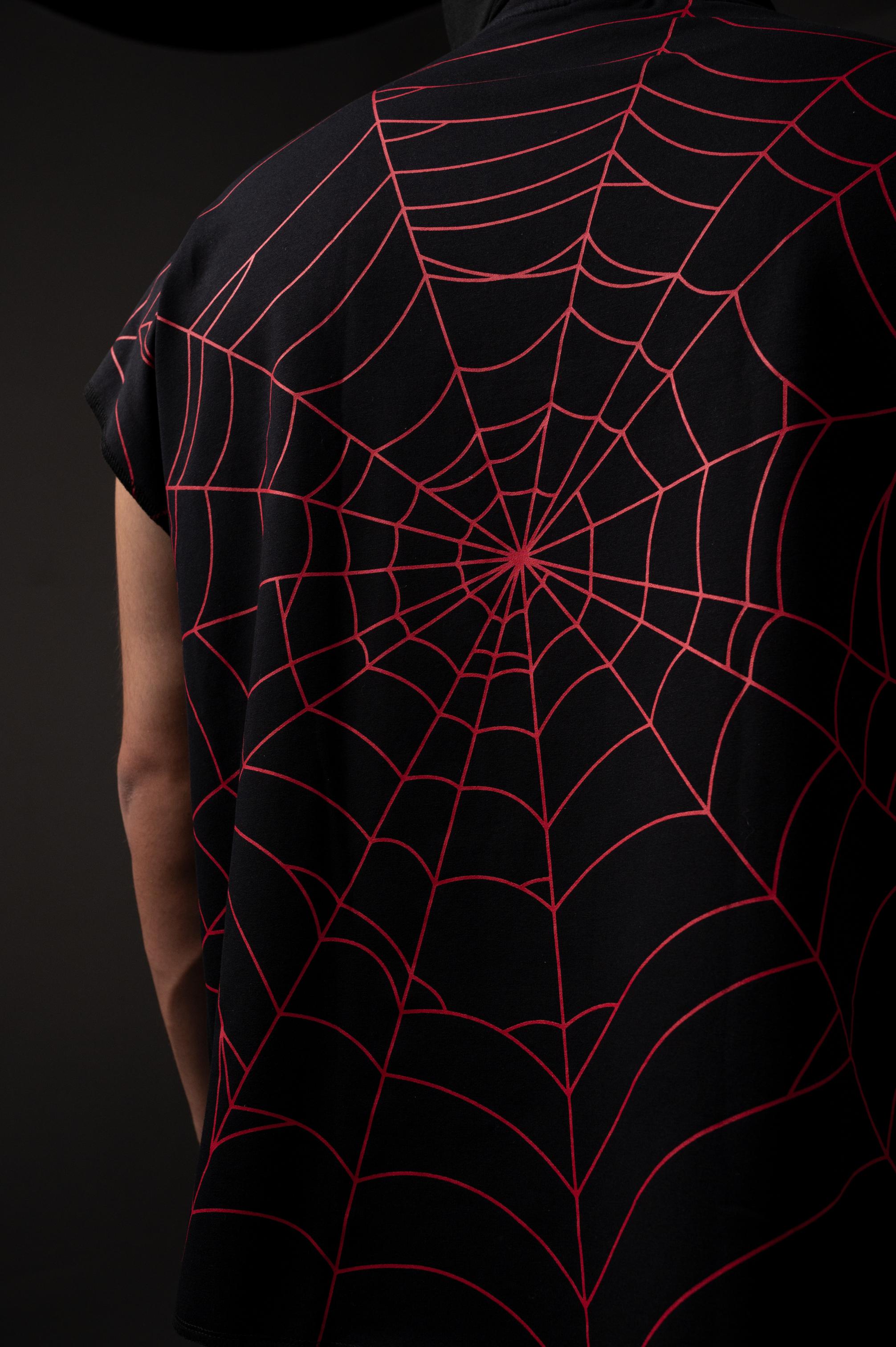 SPIDER'S WEB