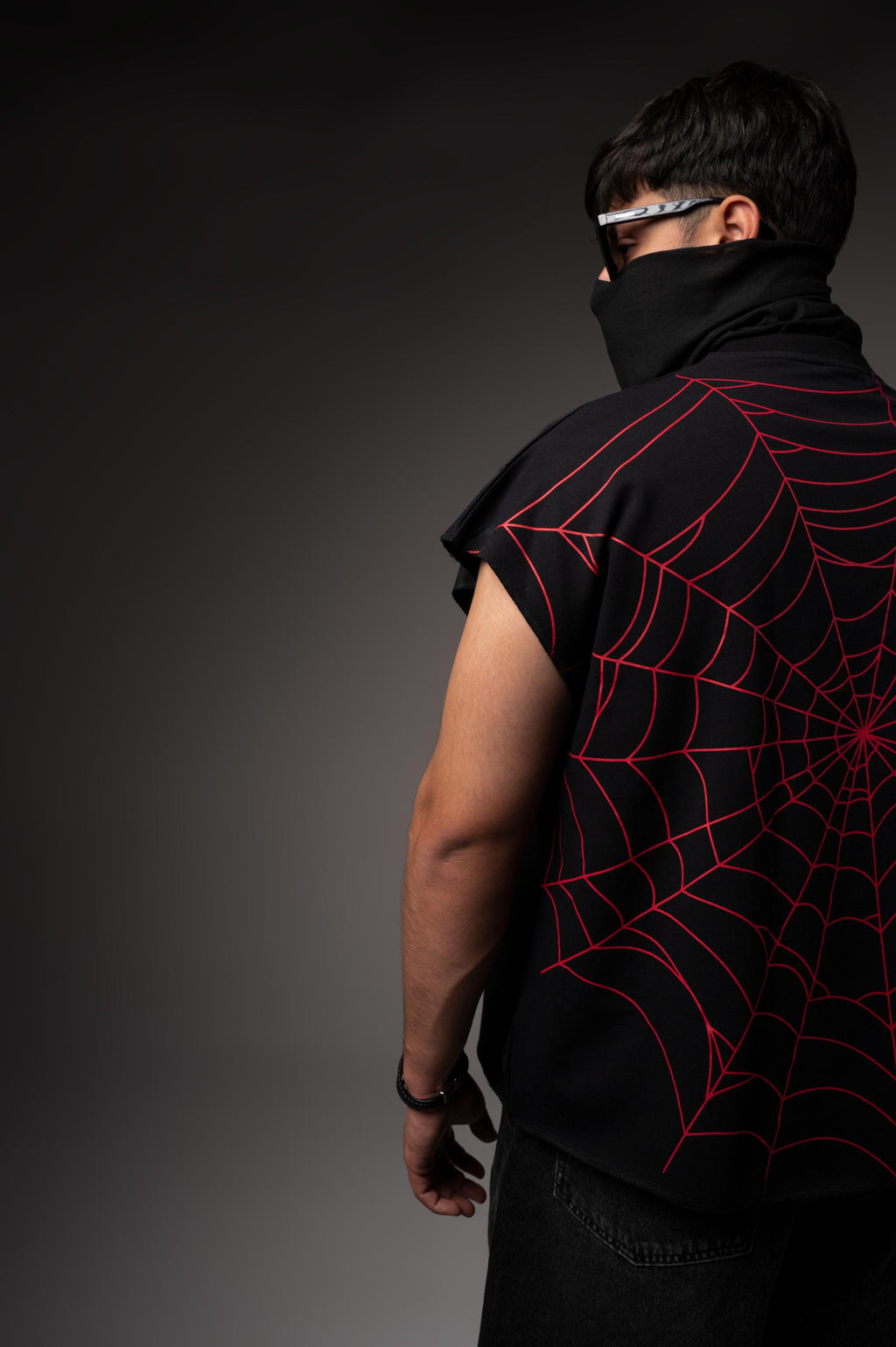 SPIDER'S WEB